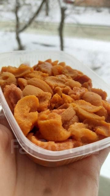 Икра морского ежа охлажденная, в наличии. Цена: 550₽ во Владивостоке