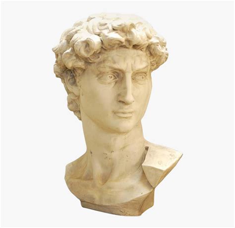 Statue Of David Png - Michelangelo David Bust Png, Transparent Png