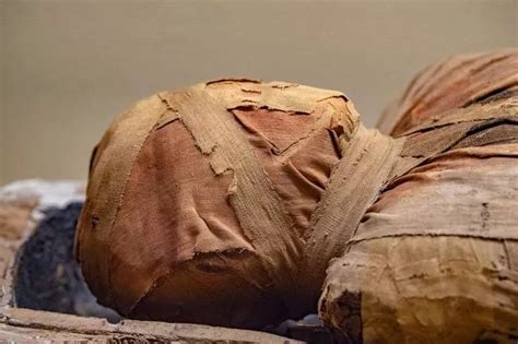 remarkable discovery   year  sarcophagus  tomb