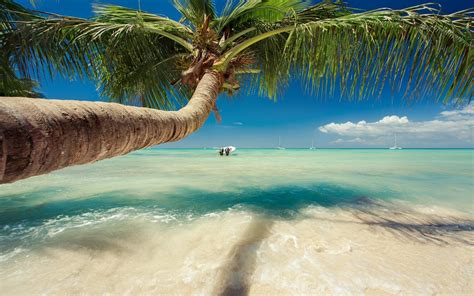 Погода в Доминикане 🌞: климатические особенности 🌴