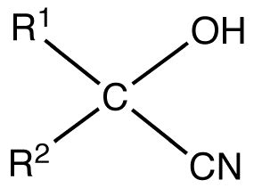 Cyanohydrin - Chemistry LibreTexts