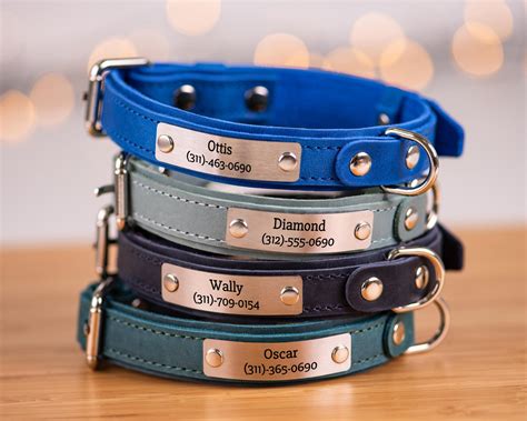 Dog Collars With Their Name On It Best Sale | dakora.com.co