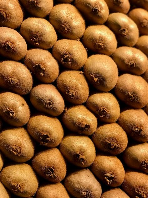 1,000+张最精彩的“Kiwi”图片 · 100%免费下载 · Pexels素材图片