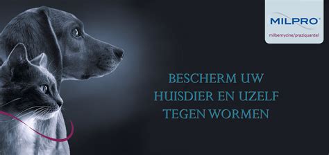 Milpro ontwormingstabletten