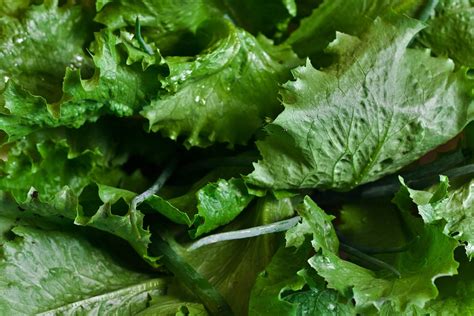 list   dark green leafy vegetables list  foods