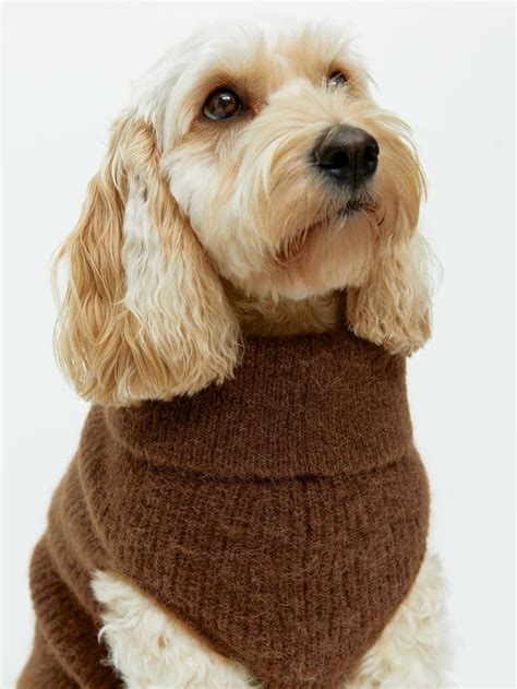 ARKET | Dog collection | Hundar, Tröjor, Stickad tröja