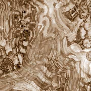 Wall Covering » Download 3D Models | ZeelProject.com » Page 5