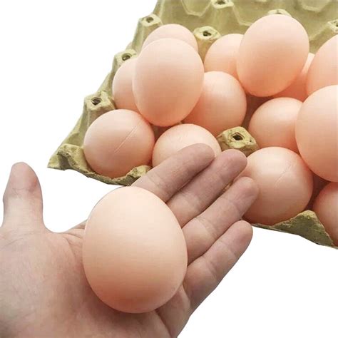 Simulatie Kippen Ei Perfect voor Broedseizoen
