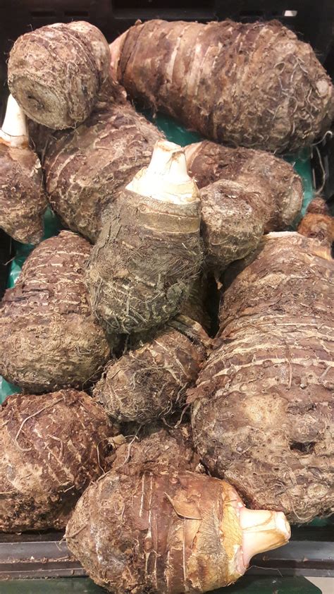 Taro - Nutrition & Cooking - auscrops.com.au