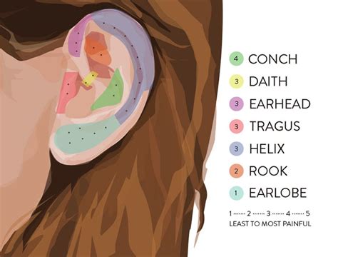 Helix Piercing Guide: Healing, Pain, Cost and Jewlery