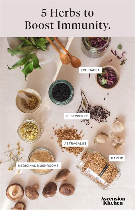 5 herbs to boost the immune system naturally - Ascension Kitchen
