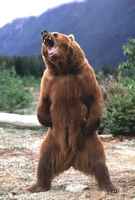 The Sankebetsu Brown Bear Incident (Part 2)