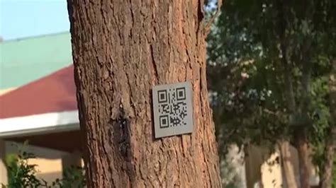 Talking Tree initiative through QR code on trees in Chandrapur vk ...