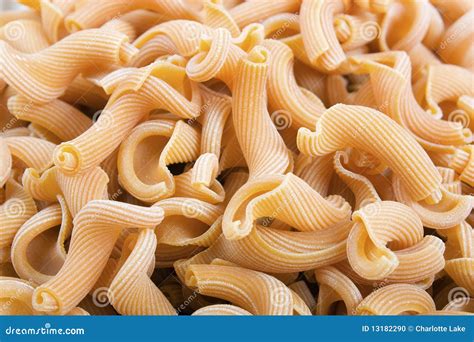 gigli pasta  close  detail  food background stock photography
