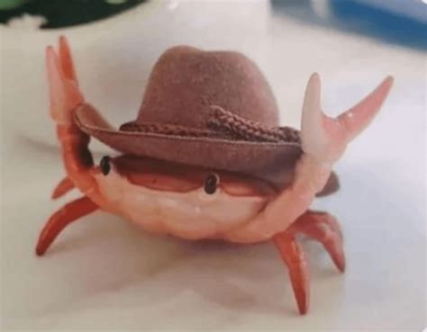 Yee-claw : r/Eyebleach