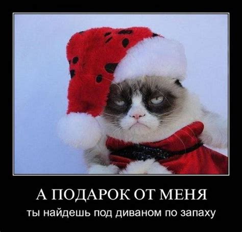 Прикольные новогодние демотиваторы 2025