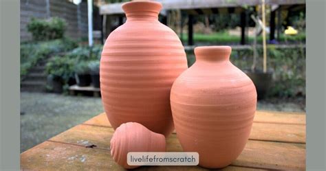 olla   vegetable garden  life  scratch