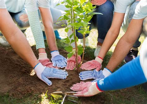 Tree Pod Burial: How To Turn Your Body Into A Tree After Death