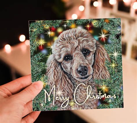 Proven Influencers Are Showing Off Their Poodle Holiday Cards Collections Watch Now!