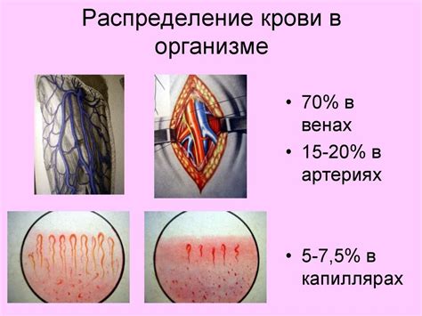 Кровотечения, способы временной и окончательной остановки кровотечения ...