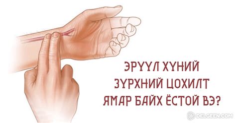Эрүүл хүний зүрхний цохилт ийм байдаг. Та зүрхээ эрүүл байгаа эсэхийг ...