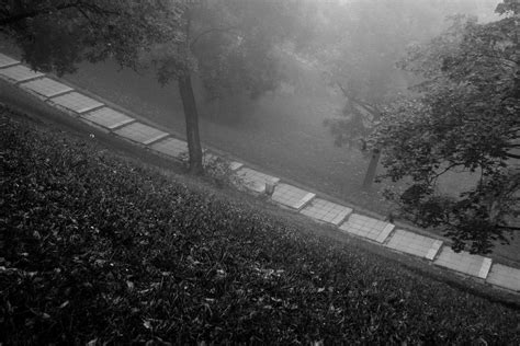 Foggy autumn morning :: Behance