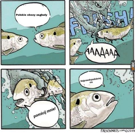 Mem na czasie - Jeja.pl