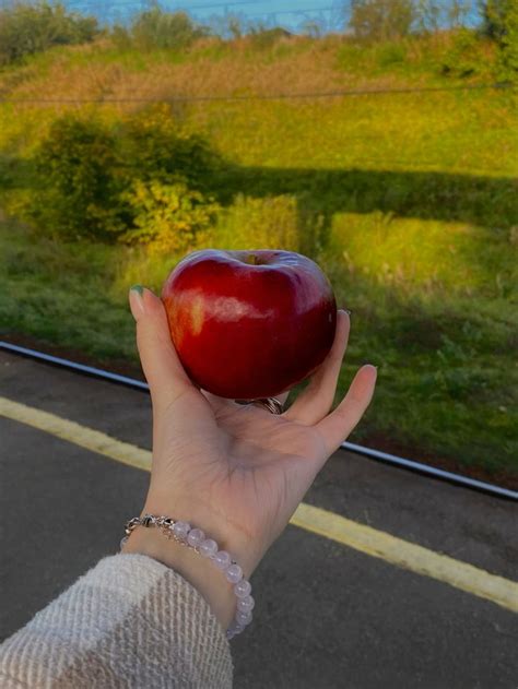 Деревенское яблоко in 2024 | Vegetable harvest, Hard cider, Apple