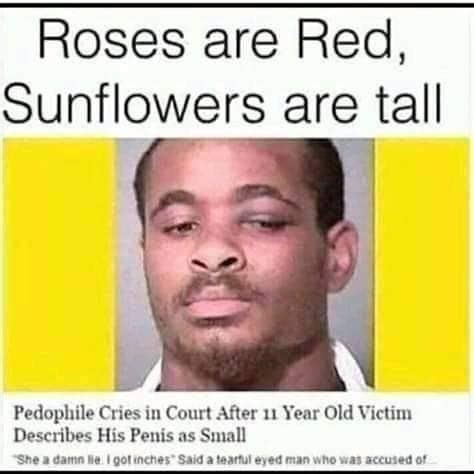 Roses are red - Meme by Cosmus :) Memedroid