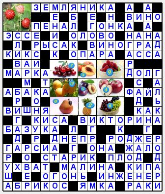 Ответ на сканворд "Ягода-малина"