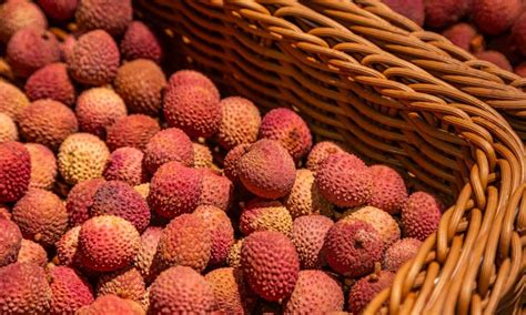 facts  didnt   summer seasons favourite fruit lychee