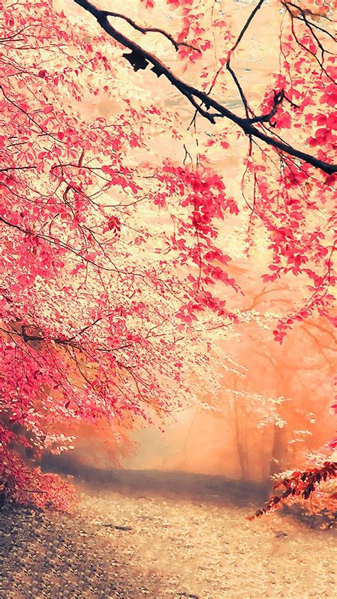 nature mobile wallpapers top  nature mobile backgrounds