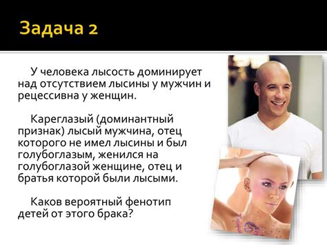 Генетические задачи. Дигибридное скрещивание. Практикум - презентация ...