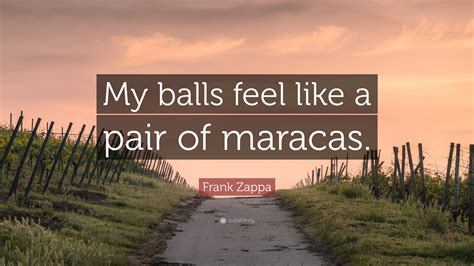 Frank Zappa Quote: “My balls feel like a pair of maracas.”