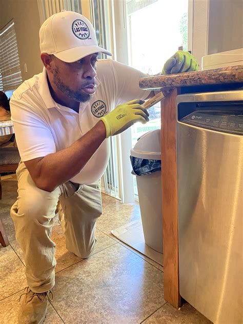 Pest Control Las Vegas - The Exterminator