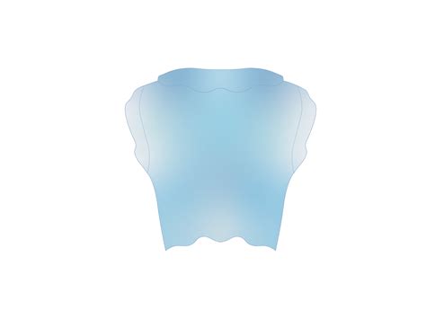 Sky Blue Ombre Mesh Scallop Blouse – Boutine LA