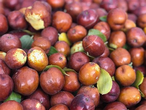 [100+] Jujube Wallpapers | Wallpapers.com