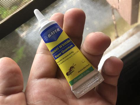 how to get rid of ants outdoors 4