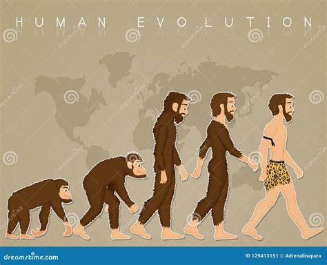 illustration  human evolution stock illustration illustration