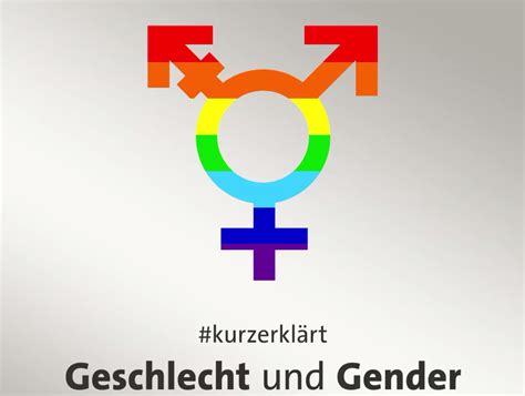 Monstrose Versprechen Die Gender Und Technologie 5