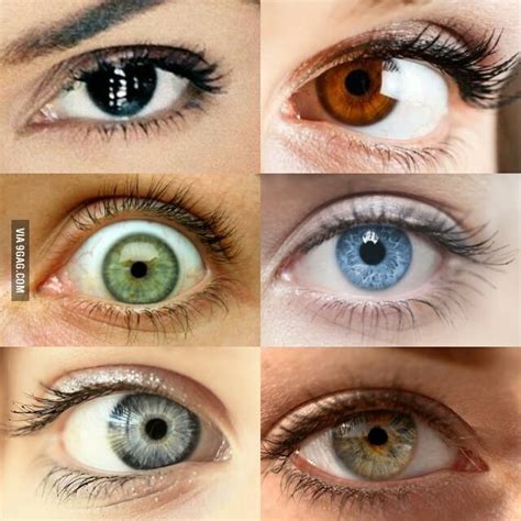 Greenish Gray Eyes