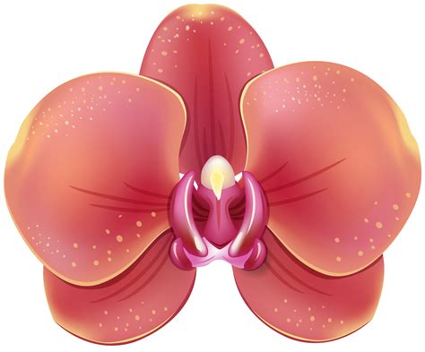 Orchid, watercolor tropical clipart. on Behance #3972706