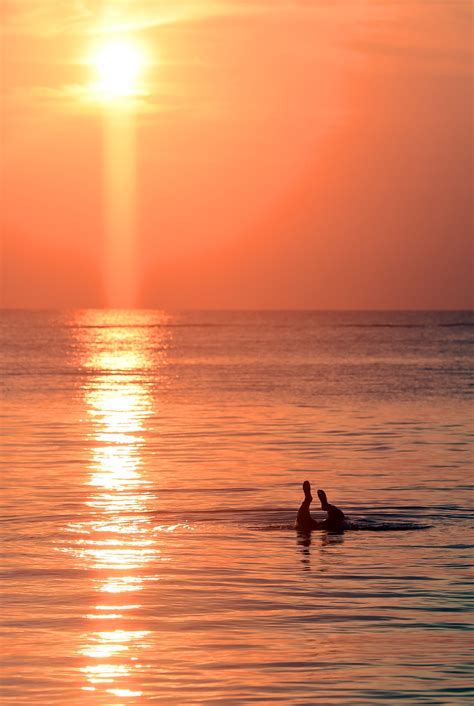 How to Conduct an Indian River County Jail Inmate Search 9