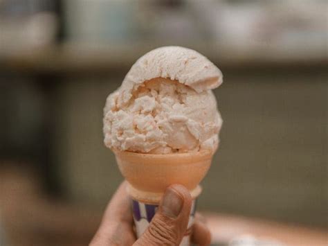 The Best Ice Cream Shop in Every State - Business Insider
