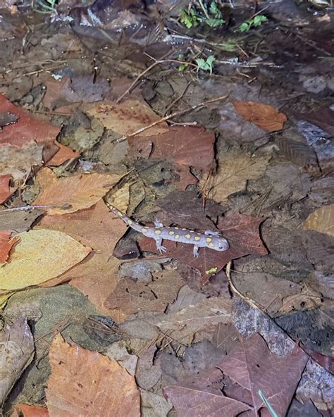 Maryland Adventure Babe added a... - Maryland Adventure Babe