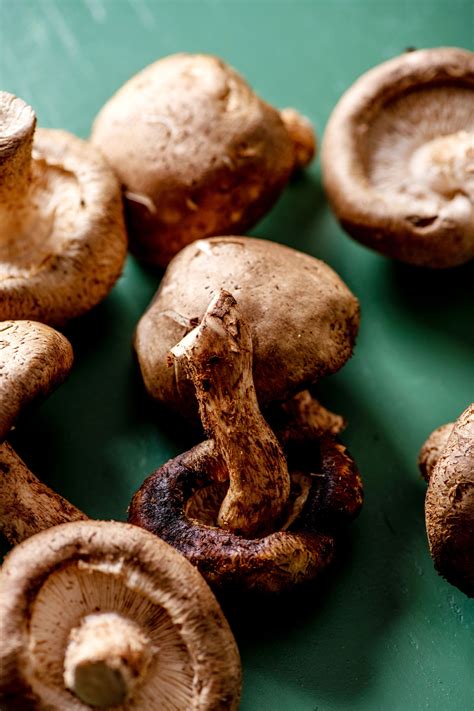 How to Cook Mushrooms + Delicious Mushroom Recipes — The Mom 100