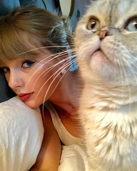 Taylor Swift's Cutest Photos with Her Cats, Benjamin Button, Olivia and ...