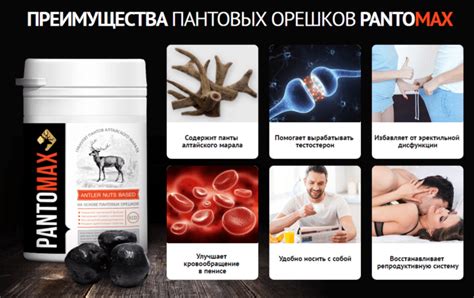 Пантомакс для мужчин: описание препарата, отзывы, где купить