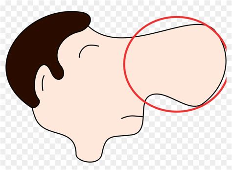 cute cartoon nose clip art