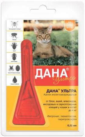 Капли от блох "Дана Ультра": отзывы, состав и эффективность :: SYL.ru